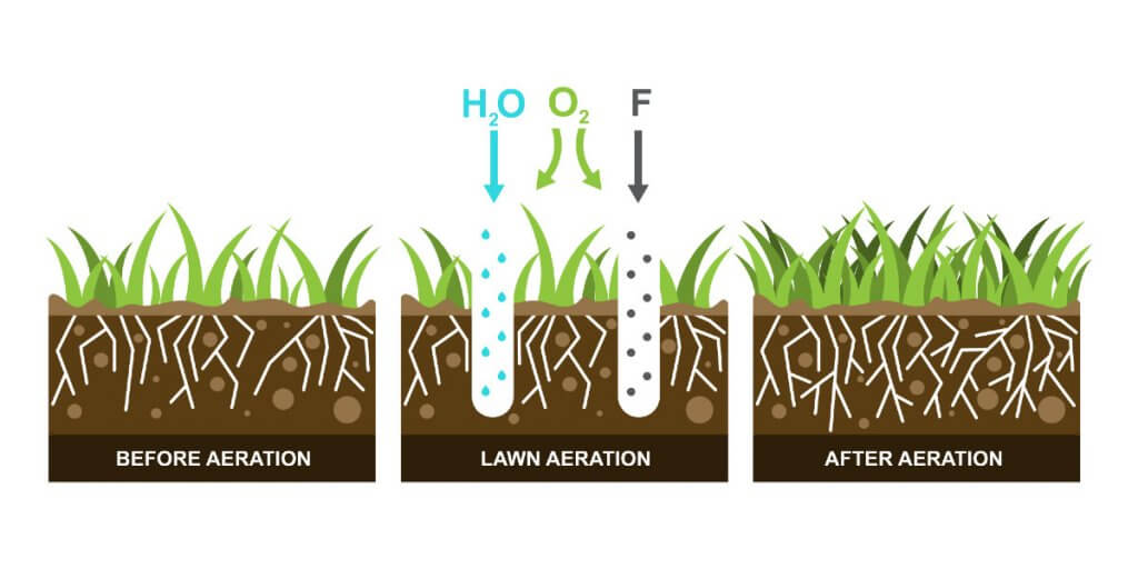 lawn care tips aerate