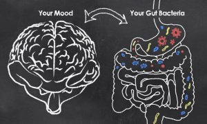 ways to improve gut health brain connection