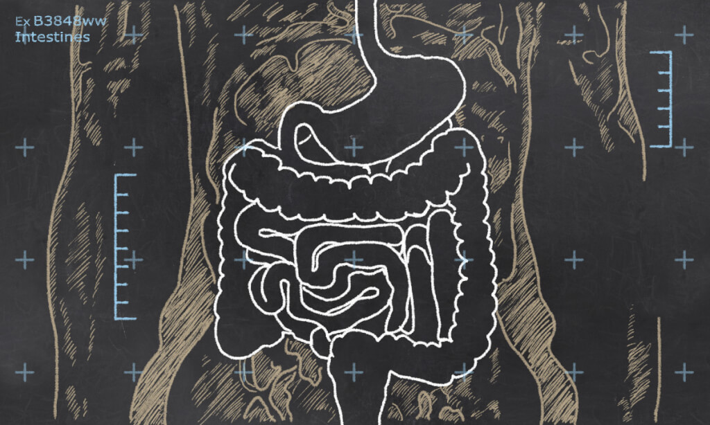 ways to improve gut health featured