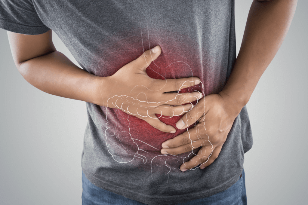 what is the difference between ibd and ibs