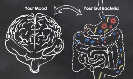 The Best Probiotics For Digestive and Immune System Health