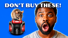 Ultrasonic Rat Repellents: Do They Actually Work? I Tested 5 Best Sellers