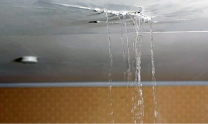 Which Water Leak Detector Is Best for Your Home? The Top 3 Picks Of 2026
