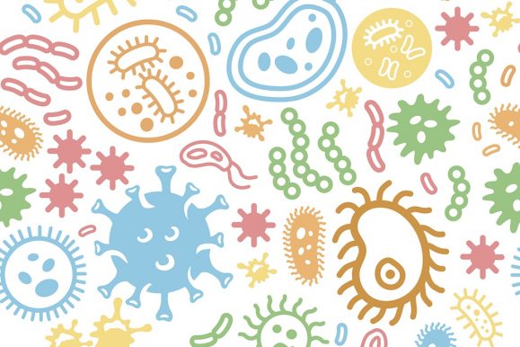 Top 3 Best Microbiome Tests for Solving Your Gut Issues – (2019 Updated Report)