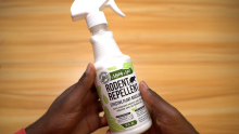 Mighty Mint Rodent Repellent Review: We Tested It With Live Mice