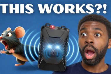 Ultrasonic Rodent Repeller Test: Do These Devices Really Work?