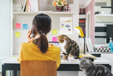 6 Desk Productivity Items You Won’t Be Able To Work Without