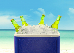 The best coolers for summer 2021