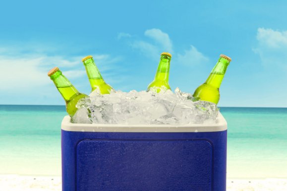 The best coolers for summer 2021