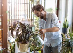 Best houseplants for beginners: 6 plants that are easy to care for