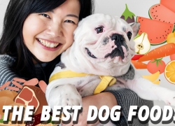 Best Dog Foods – No Grains, No Allergies, No Lies