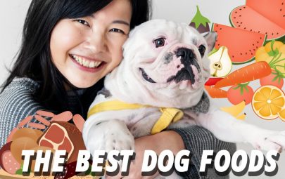 Best Dog Foods – No Grains, No Allergies, No Lies