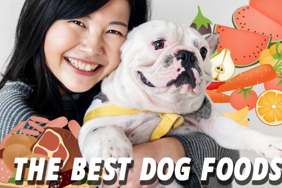 Best Dog Foods – No Grains, No Allergies, No Lies