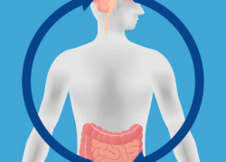 Gut-Brain Connection Is More Important Than You Might Think ﻿