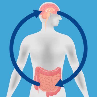 Gut-Brain Connection Is More Important Than You Might Think ﻿
