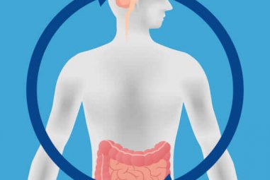 Gut-Brain Connection Is More Important Than You Might Think ﻿