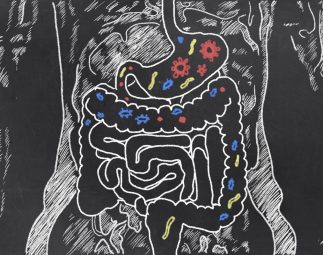 Improve your Gut Microbiome