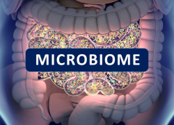 Microbiome Testing: Everything You Need to Know