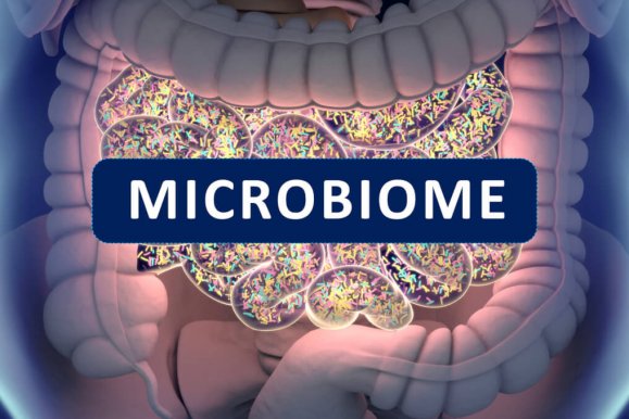 Microbiome Testing: Everything You Need to Know