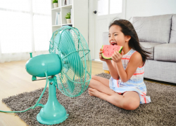 The best fans to cool your home without an air conditioner