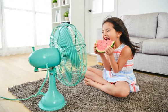 The best fans to cool your home without an air conditioner