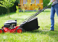 Lawn care tips for when you’re on a tight budget