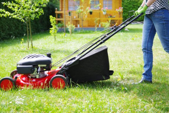 Lawn care tips for when you’re on a tight budget