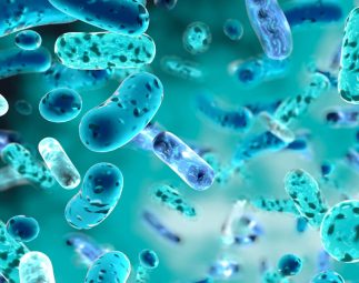 Thryve – Test Your Microbiome