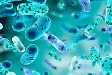 Thryve – Test Your Microbiome