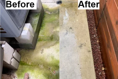 Top Pressure Washers of 2024