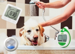 With A Great Shower Comes Great Responsibility: Save Thousands With the Best Shower Timers of 2020