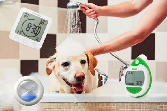 With A Great Shower Comes Great Responsibility: Save Thousands With the Best Shower Timers of 2020