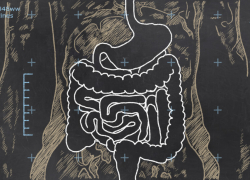 What are the best ways to improve gut health?