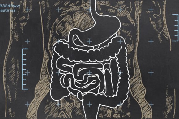 What are the best ways to improve gut health?